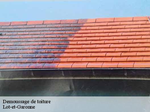 Demoussage de toiture Lot-et-Garonne