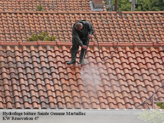 Hydrofuge toiture  sainte-gemme-martaillac-47250 KW Rénovation 47