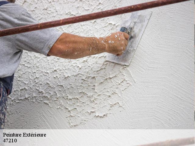 Peinture Extérieure 47210