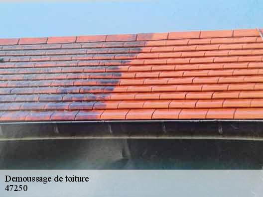 Demoussage de toiture  47250