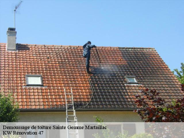 Demoussage de toiture  sainte-gemme-martaillac-47250 KW Rénovation 47