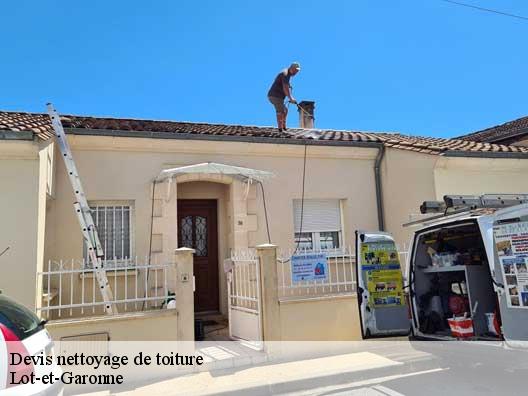 Devis nettoyage de toiture Lot-et-Garonne 