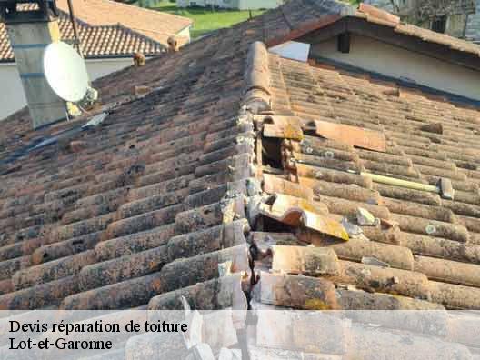 Devis réparation de toiture Lot-et-Garonne 