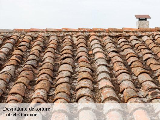 Devis fuite de toiture Lot-et-Garonne 