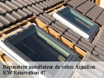 Réparateur installateur de velux  aiguillon-47190 KW Rénovation 47