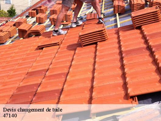 Devis changement de tuile 47140
