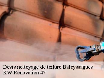 Devis nettoyage de toiture  baleyssagues-47120 KW Rénovation 47