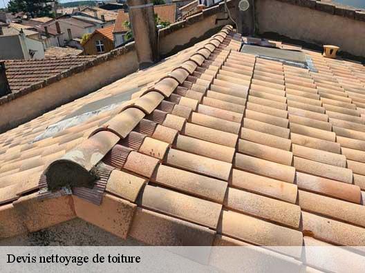 Devis nettoyage de toiture