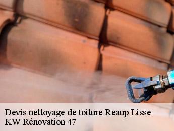 Devis nettoyage de toiture  reaup-lisse-47170 KW Rénovation 47