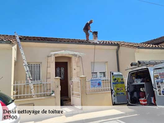 Devis nettoyage de toiture 47500