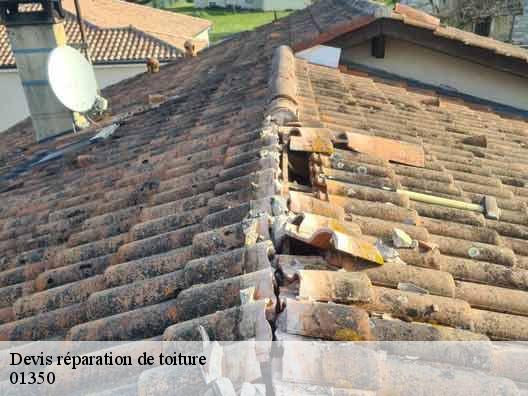 Devis réparation de toiture 01350