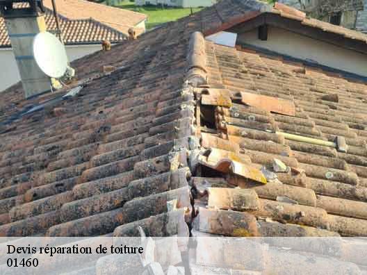 Devis réparation de toiture 01460