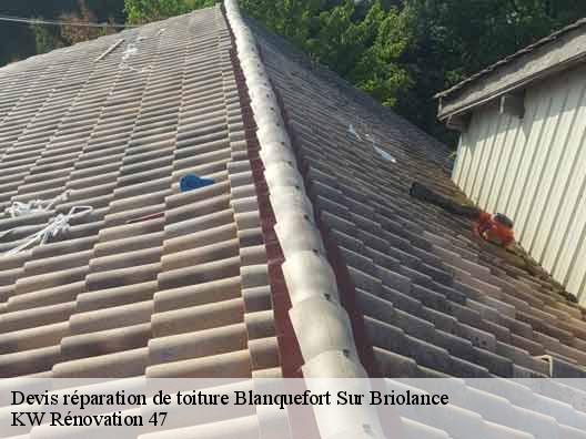 Devis réparation de toiture  blanquefort-sur-briolance-47500 KW Rénovation 47