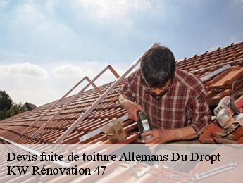 Devis fuite de toiture  allemans-du-dropt-47800 KW Rénovation 47