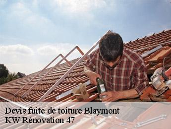 Devis fuite de toiture  blaymont-47470 KW Rénovation 47