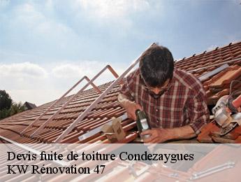 Devis fuite de toiture  condezaygues-47500 KW Rénovation 47