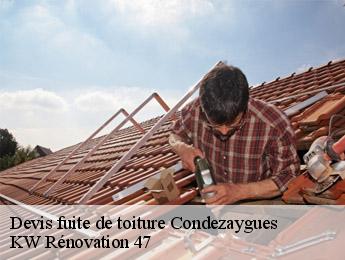 Devis fuite de toiture condezaygues-47500 KW Rénovation 47