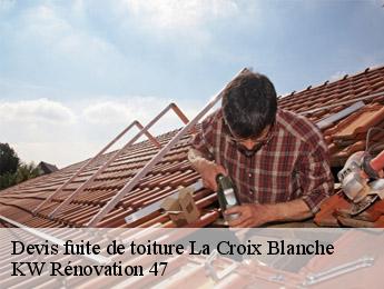Devis fuite de toiture  la-croix-blanche-47340 KW Rénovation 47
