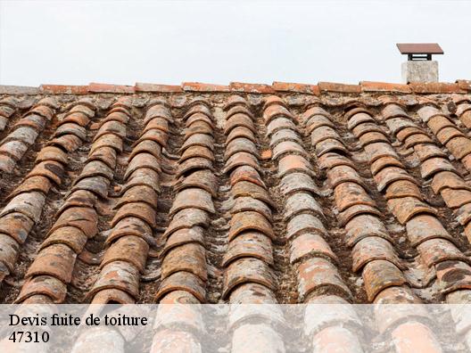 Devis fuite de toiture 47310