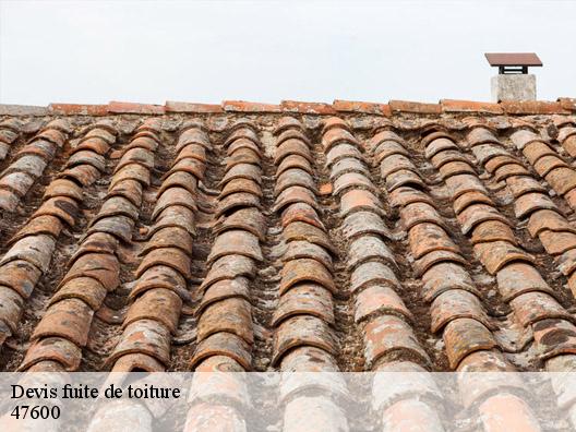 Devis fuite de toiture 47600