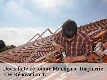 Devis fuite de toiture  montignac-toupinerie-47350 KW Rénovation 47