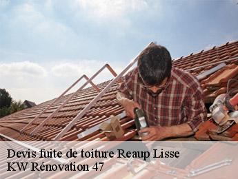 Devis fuite de toiture  reaup-lisse-47170 KW Rénovation 47