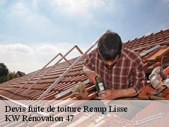 Devis fuite de toiture reaup-lisse-47170 KW Rénovation 47