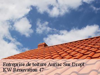 Entreprise de toiture  auriac-sur-dropt-47120 KW Rénovation 47