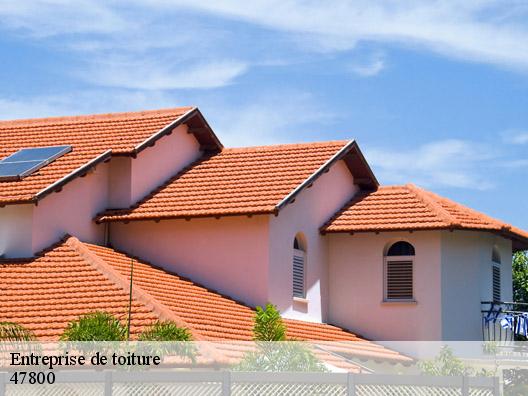 Entreprise de toiture 47800
